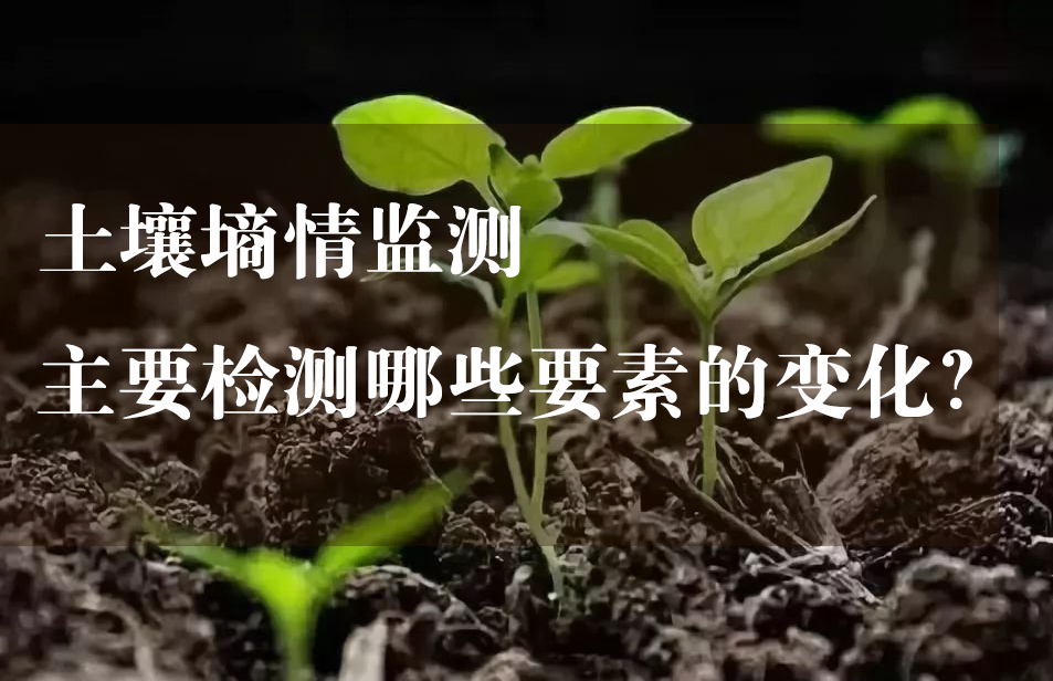 土壤墒情监测主要检测哪些要素的变化？