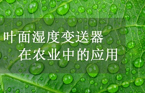 叶面湿度变送器在农业中的应用